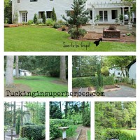 big backyard
